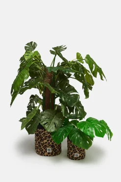 Lucy & Yak Runa - Plant Pot Covers in Cotton Leo Print (2 Pack) Best