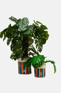Lucy & Yak Runa - Plant Pot Covers in Rainbow Stripe Print (2 Pack) Online