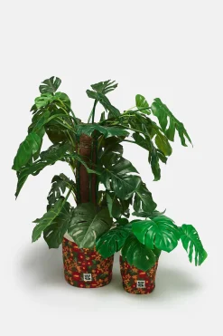 Lucy & Yak Runa - Plant Pot Covers in Rodeo Floral Print (2 Pack) Best