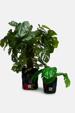 Lucy & Yak Runa - Plant Pot Covers in Maria Print (2 Pack) Clearance